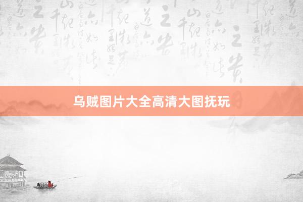 乌贼图片大全高清大图抚玩
