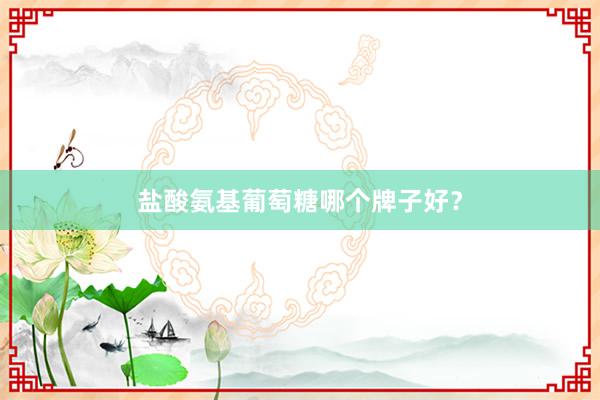 盐酸氨基葡萄糖哪个牌子好?